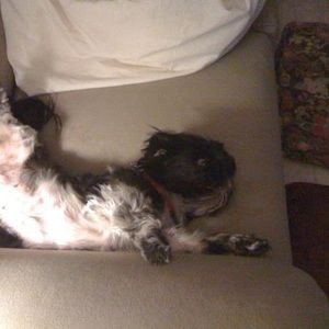 Meet your Posher, Gail